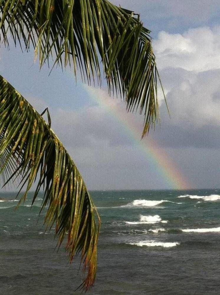 Rainbow Beach Apartments & Rooms Calibishie Dış mekan fotoğraf